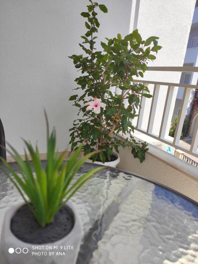 Apartments Jadranka 马卡尔斯卡 外观 照片